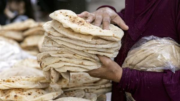 المعونة: لا تقديم لدعم الخبز حاليًا والنقدي الموحد مستمر